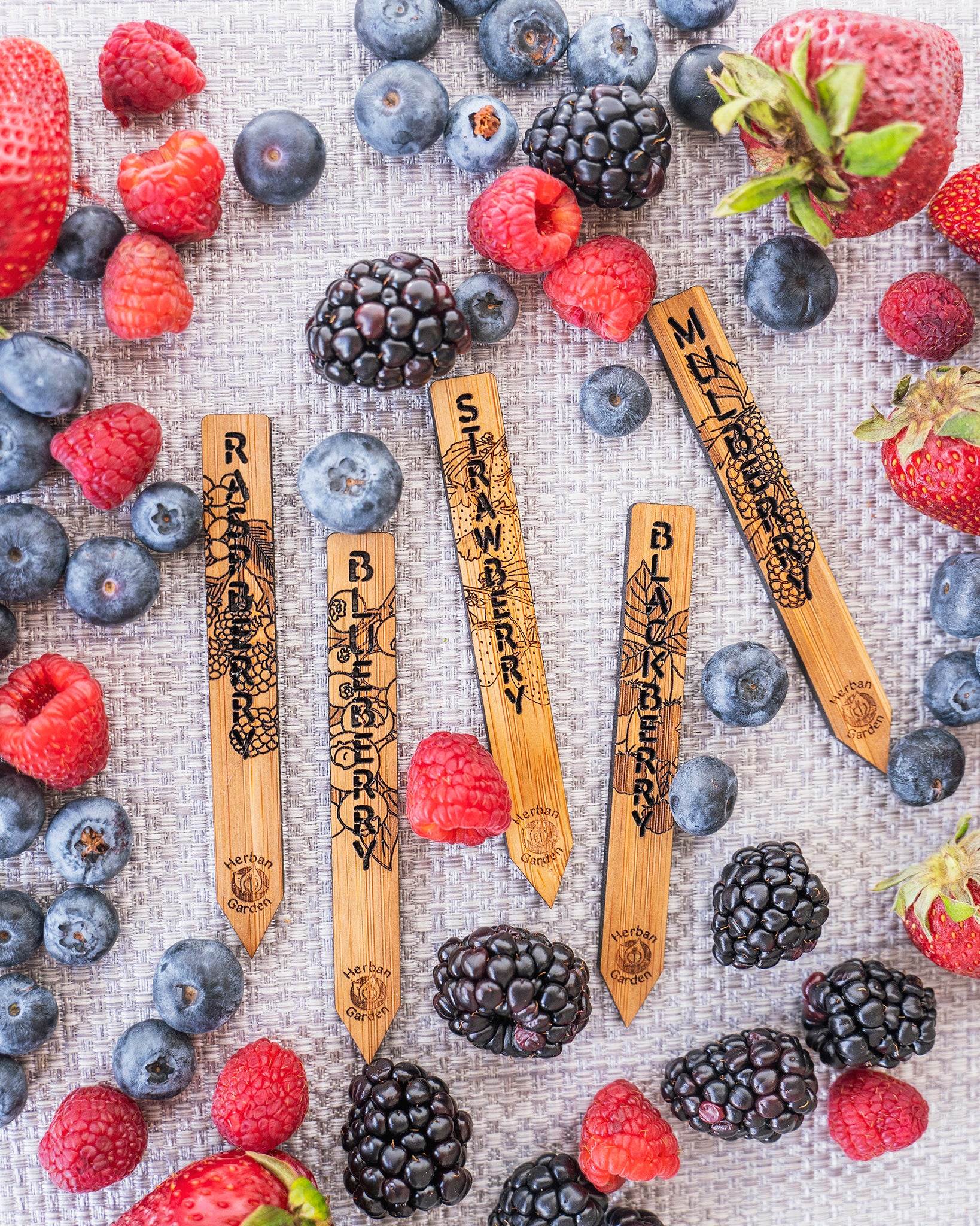 5 Pack Berries