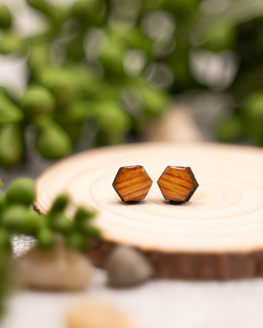 Hexagon Studs