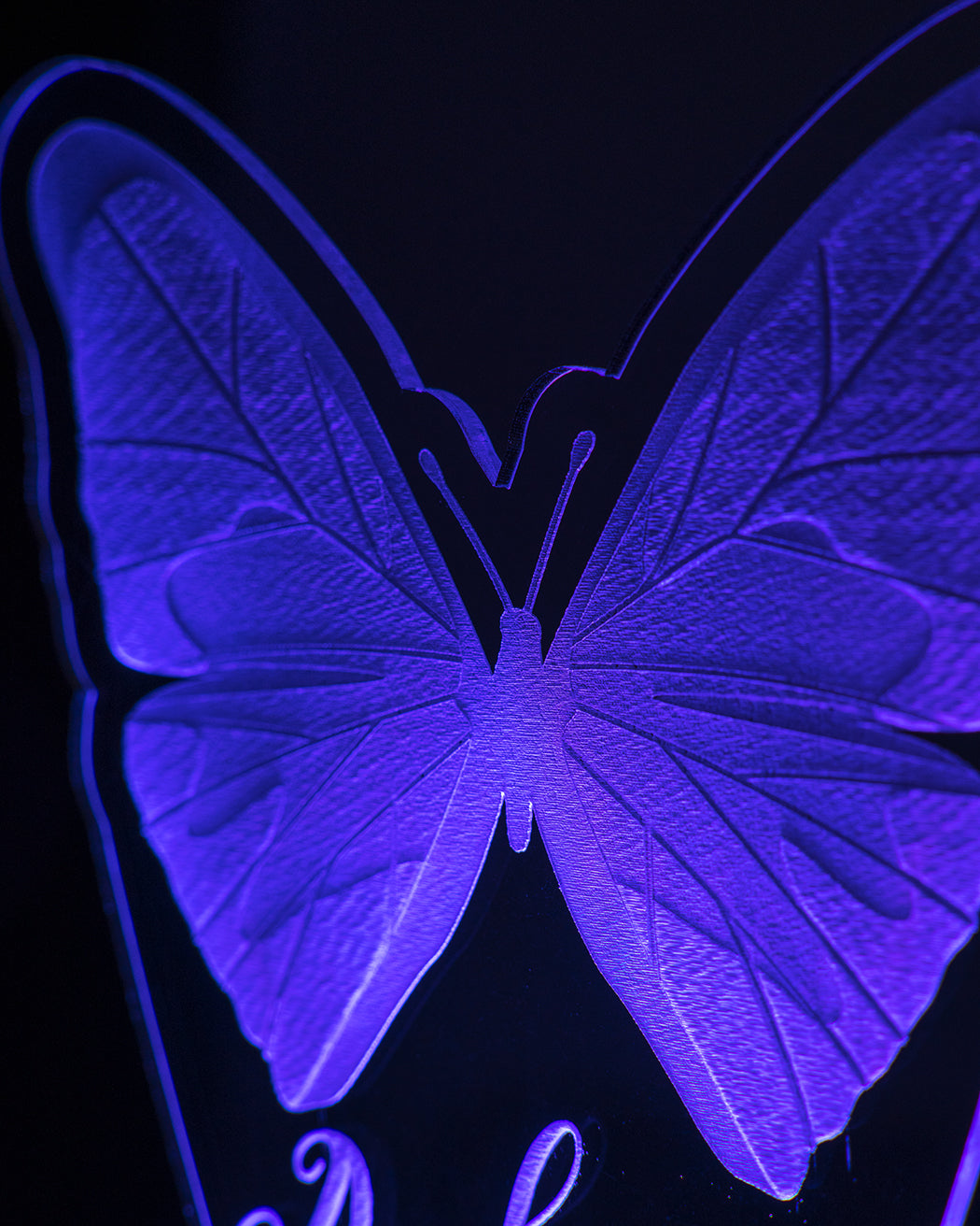 Butterfly Night Light