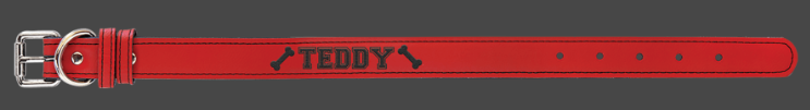 Dog Collar