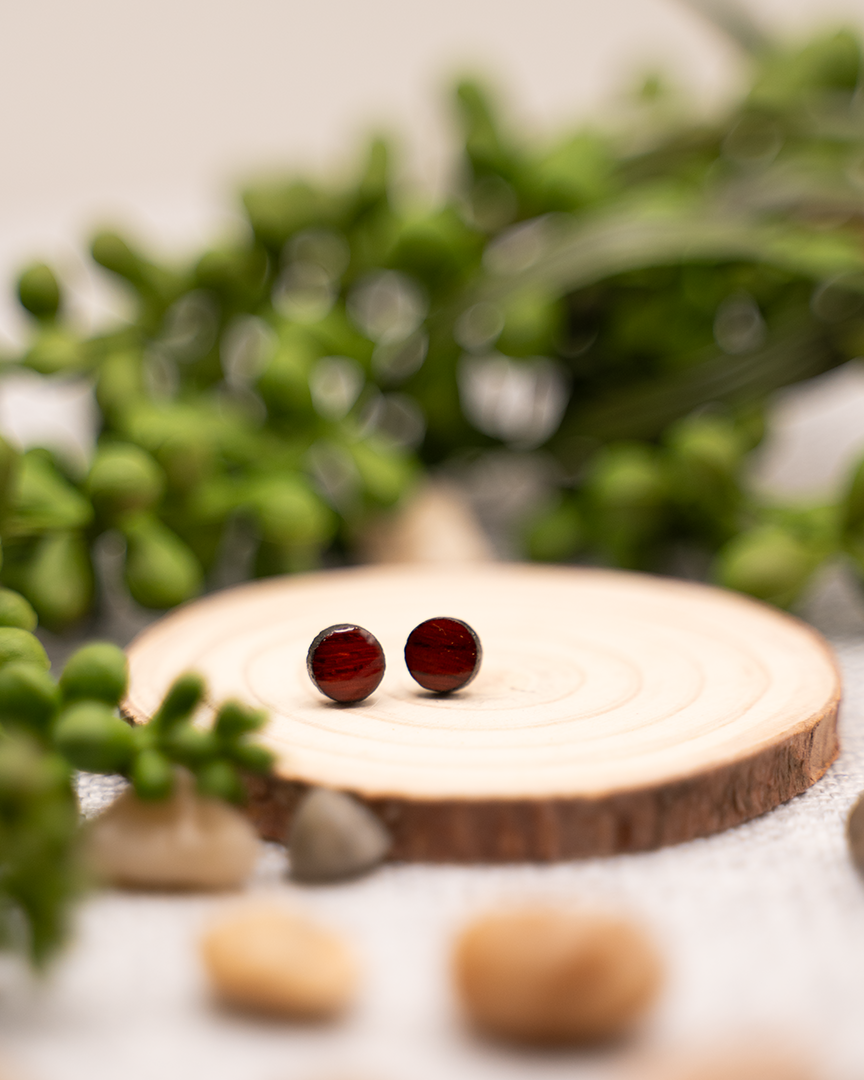 Circle Studs