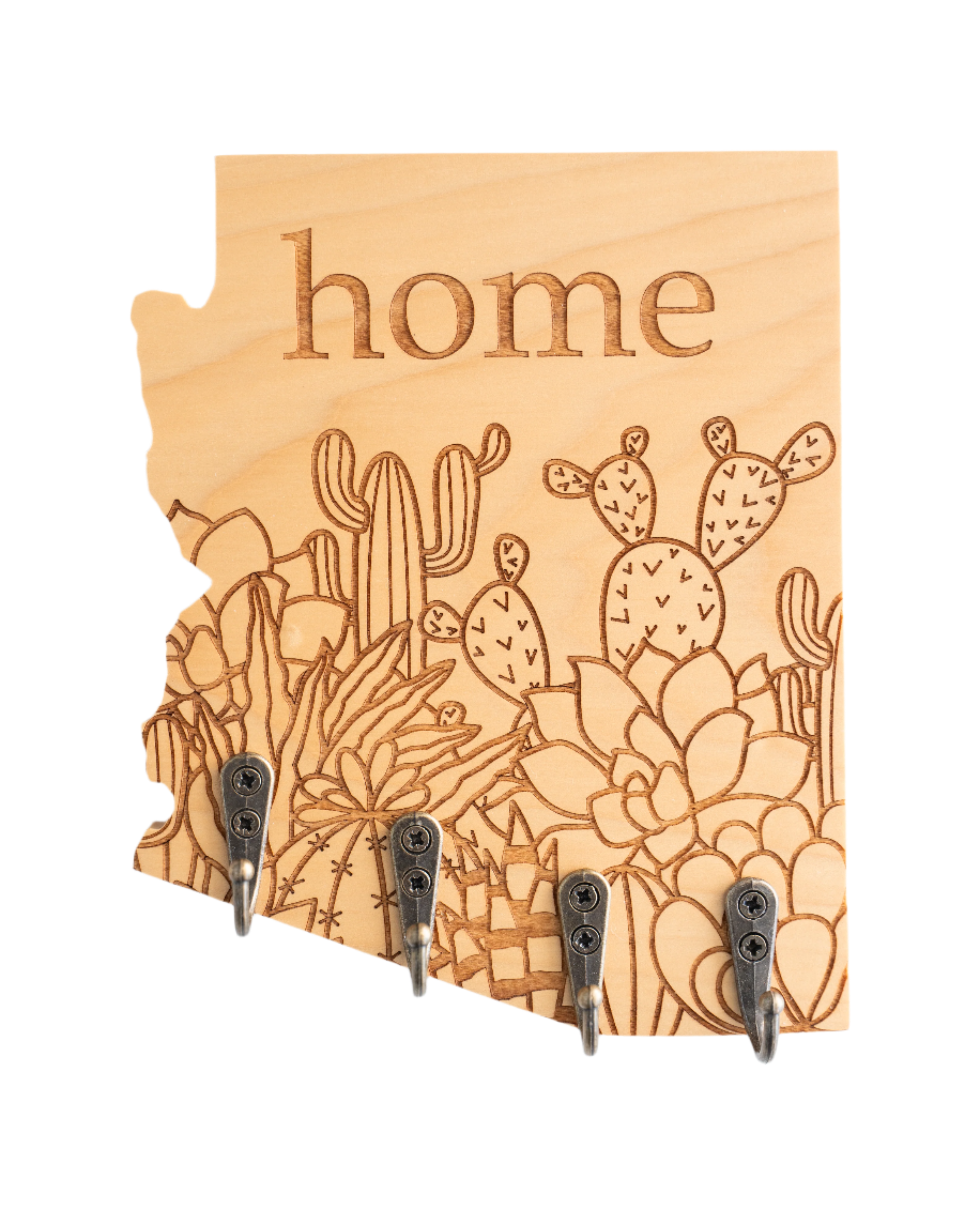 home Succulent Bundle Arizona Wall Hanger