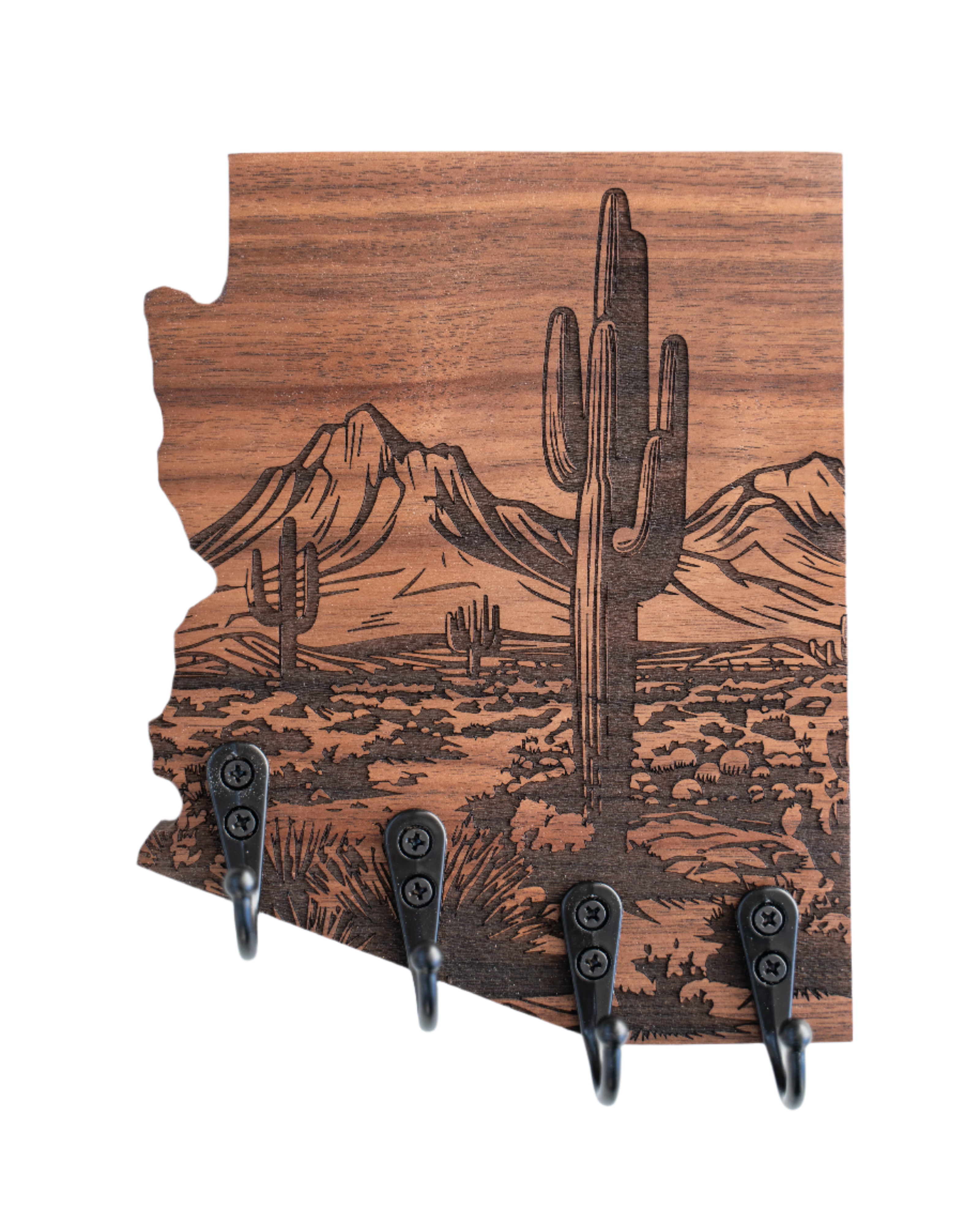 Mojave Desert 02 V2 Arizona Wall Hanger