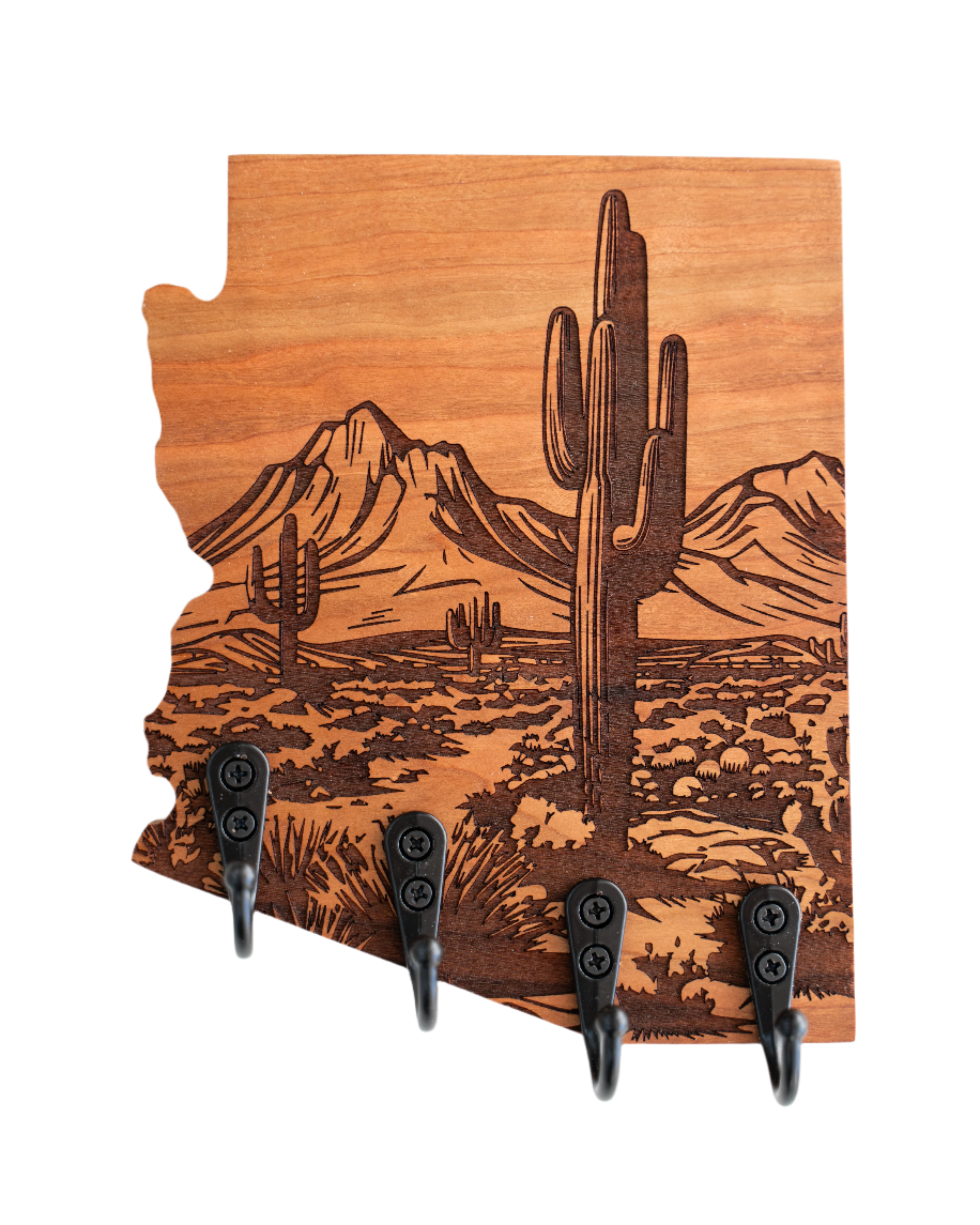 Mojave Desert 02 V2 Arizona Wall Hanger