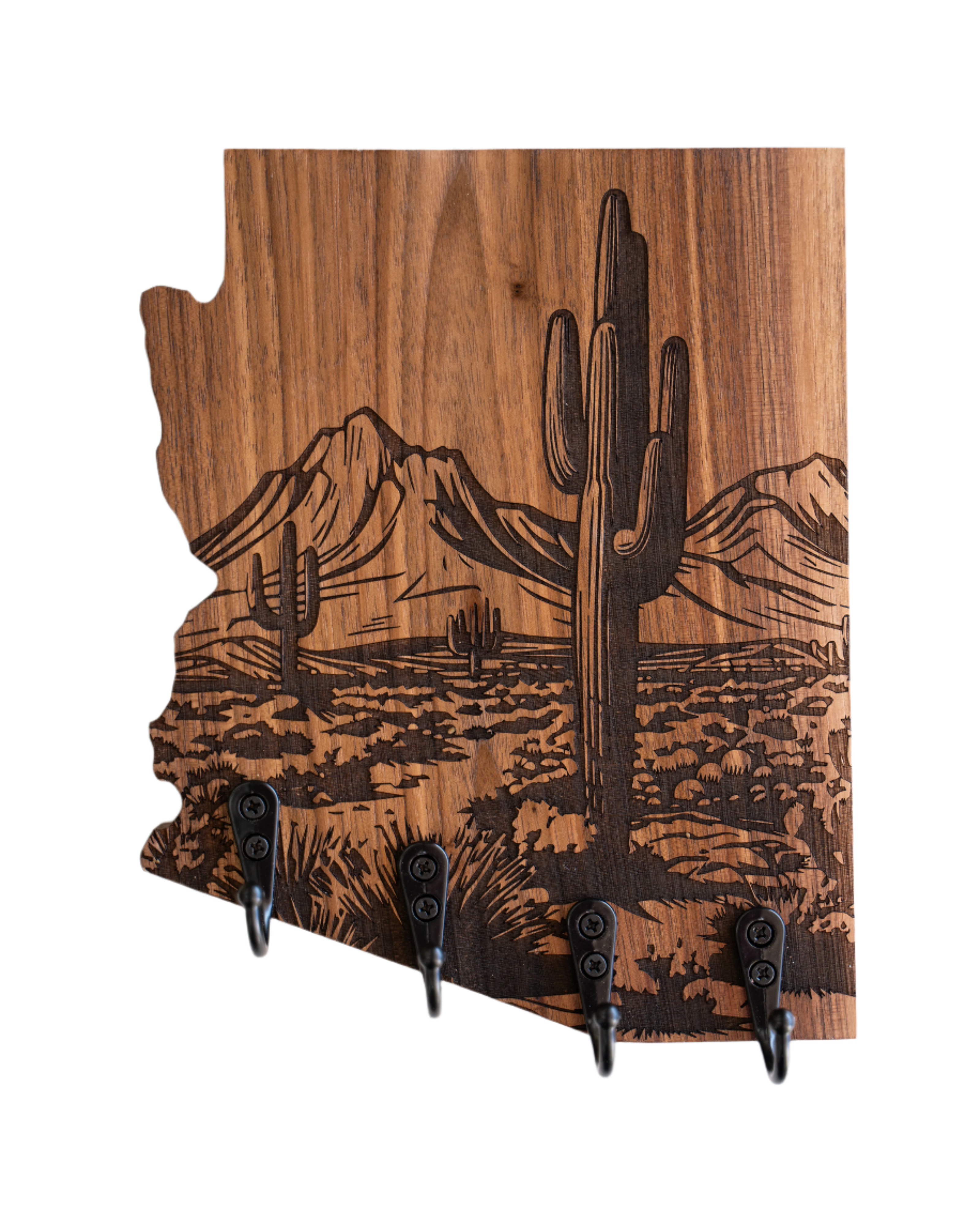 Mojave Desert 02 V2 Arizona Wall Hanger