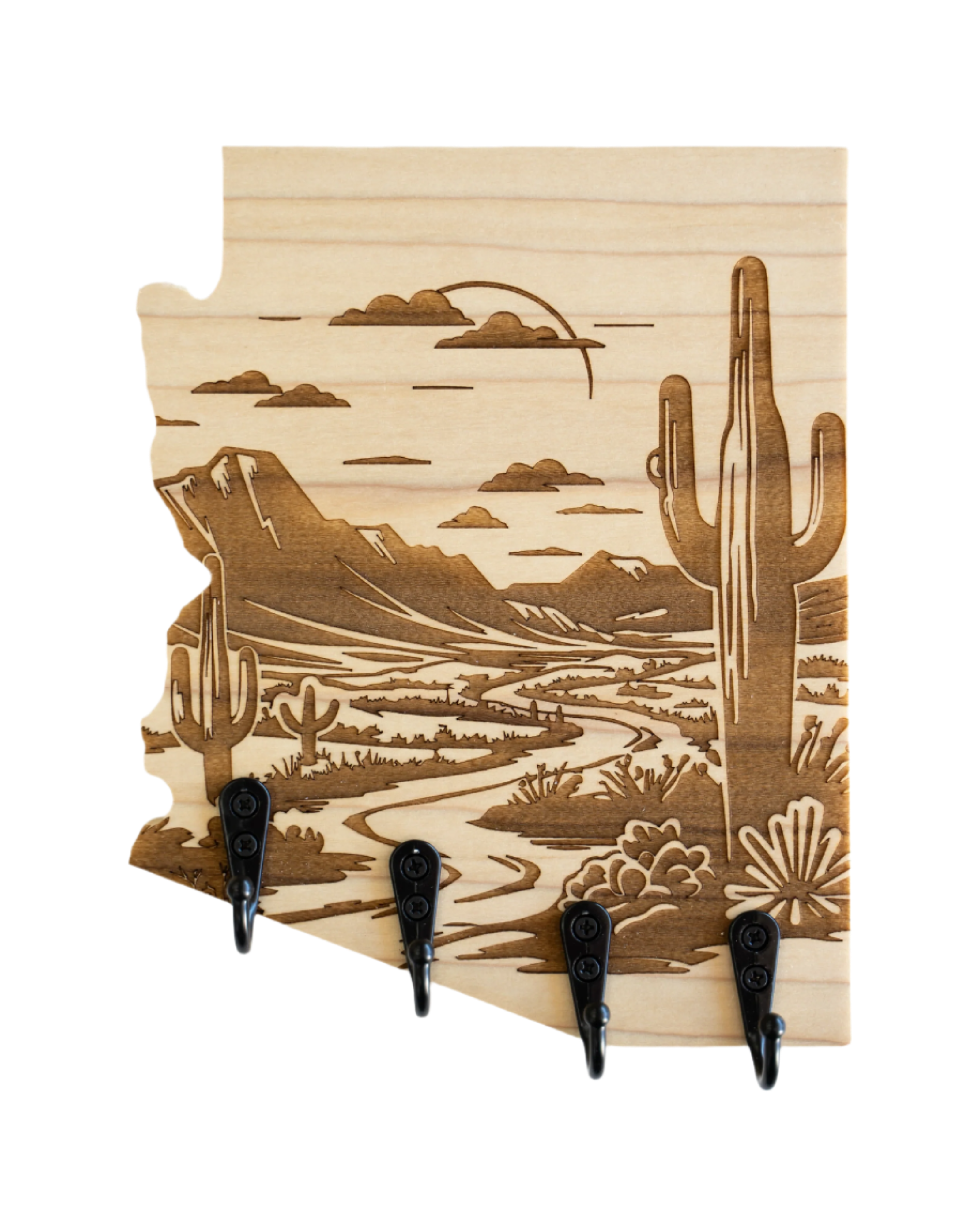 Sonoran Desert 09 Arizona Wall Hanger