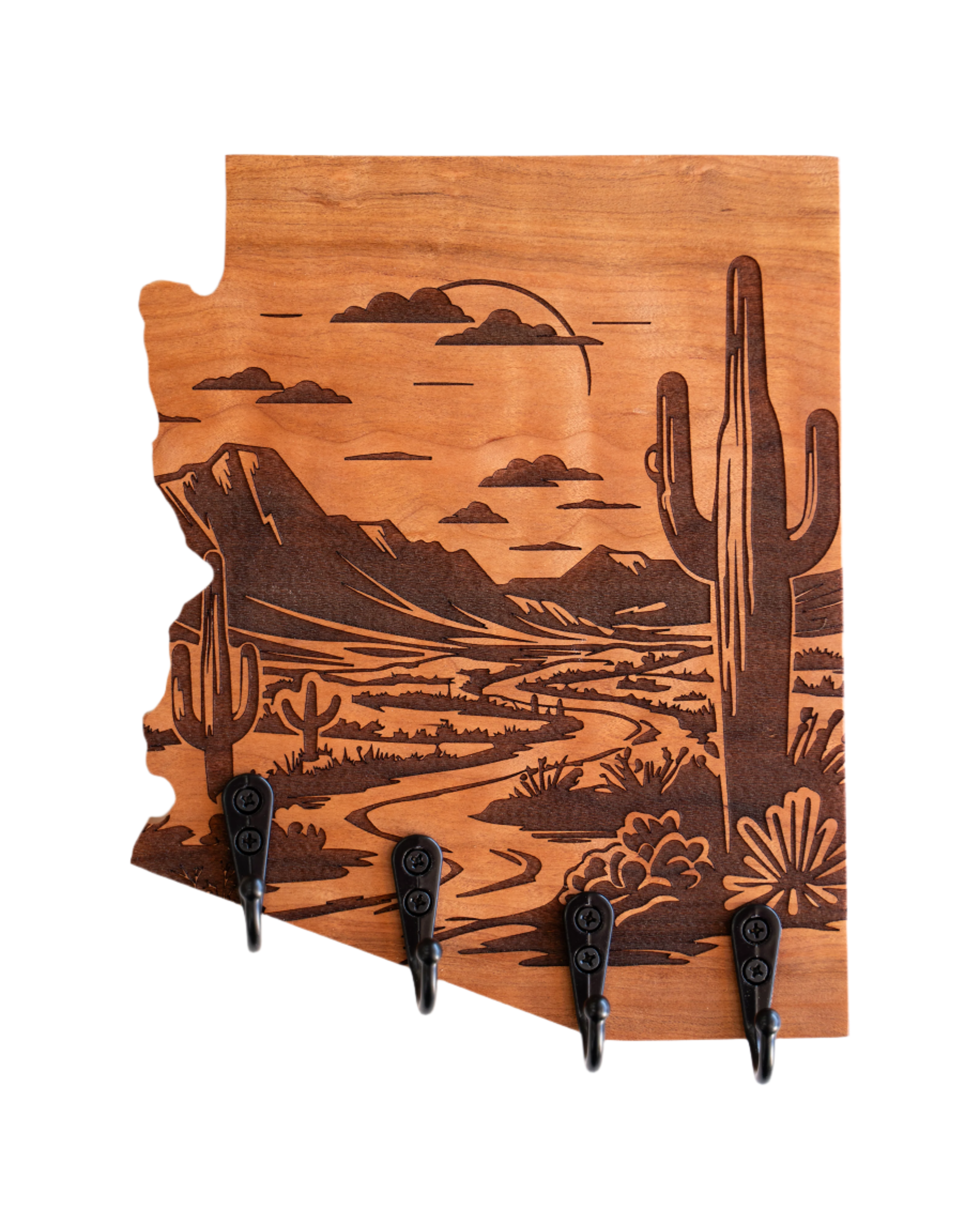 Sonoran Desert 09 Arizona Wall Hanger