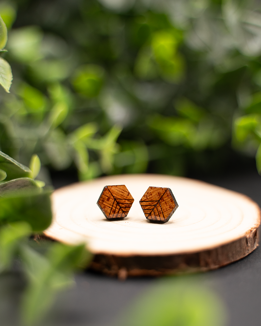 Hexagon Studs - V2